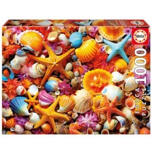 פאזל 1000 חל' - אוסף צדפים צבעוני