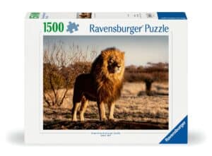 פאזל 1500 חל' - אריה בטבע